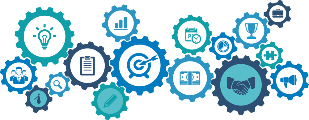 RNA Seq services