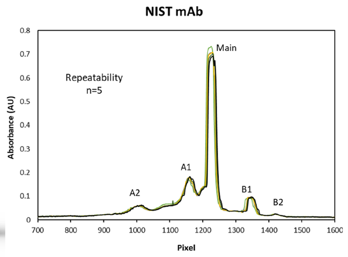 monoclonal antibodies characterisation with iCIEF system