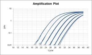 Amplification Plot