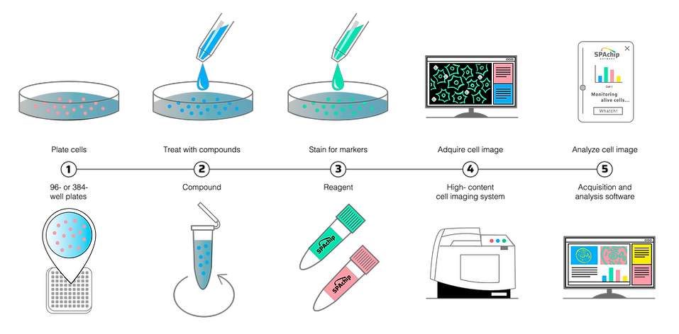 spachip technologyu workflow to monitor your cells in real time