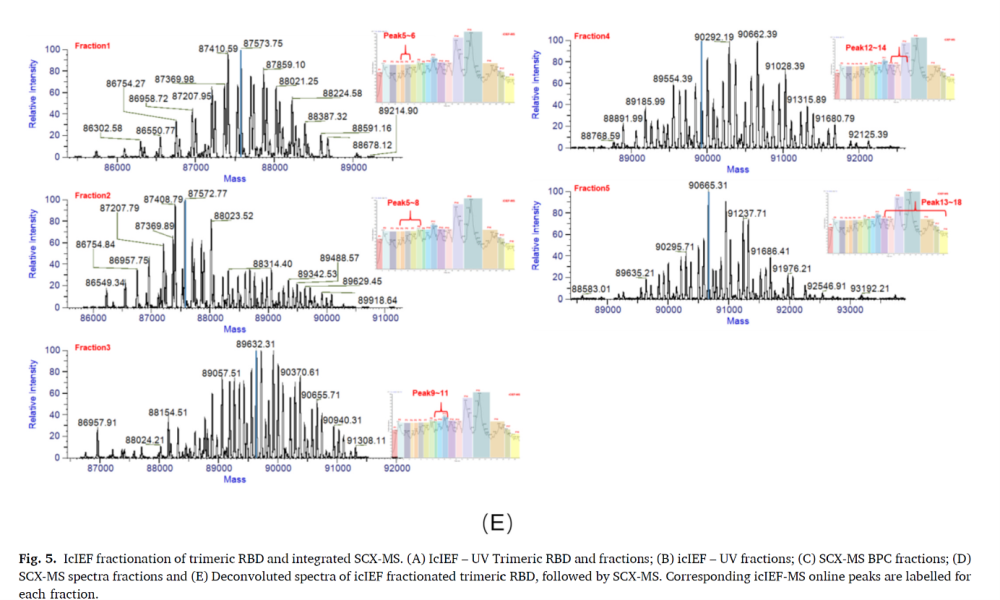 The separation mechanism of icIEF and IEX is different from each other. Both are broadly used in biotherapeutics charge variant analysis, by combining them together