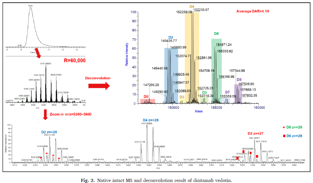 in-depth characterisation of a cysteine-linked ADC disitamab vedotin