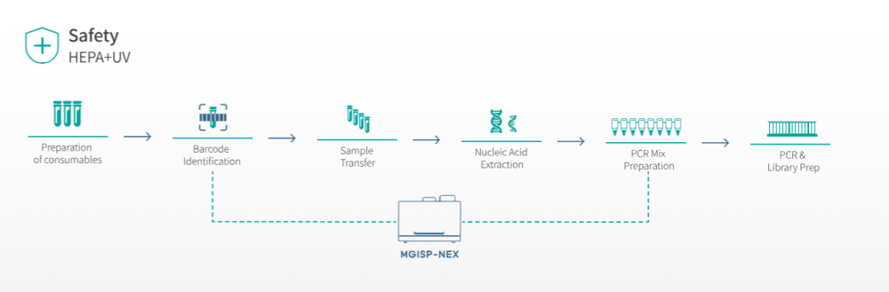 MGI SP NEX system and its work in the workflow