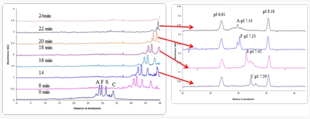 High Resolution Time-resolved Imaging cIEF Fractionation – AFSC