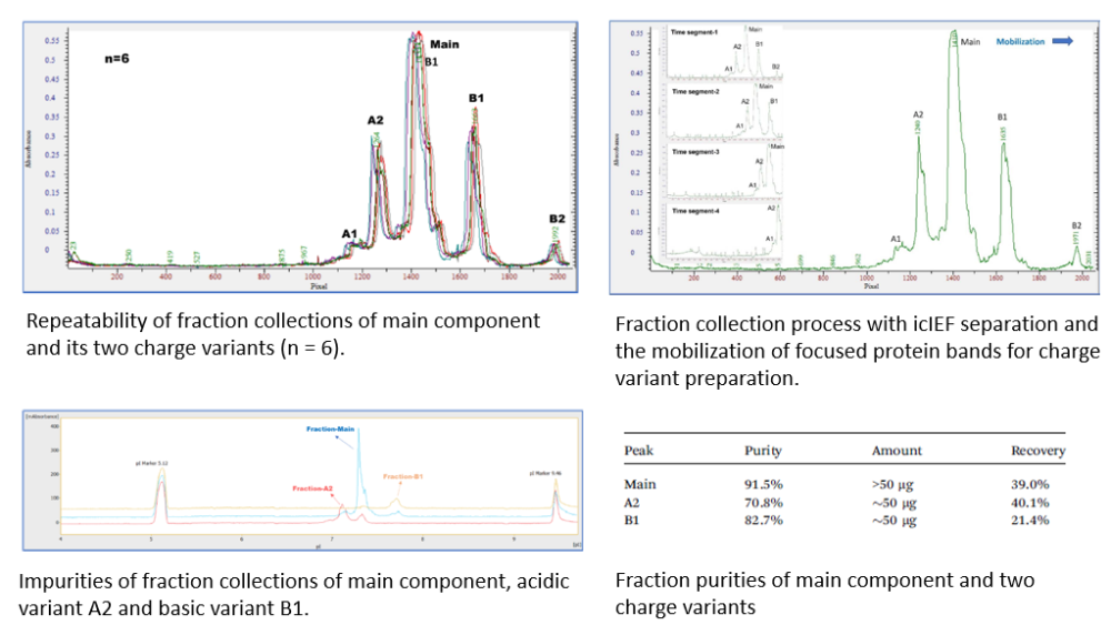 therapeutic antibody by icIEF-Prep and icIEF-MS