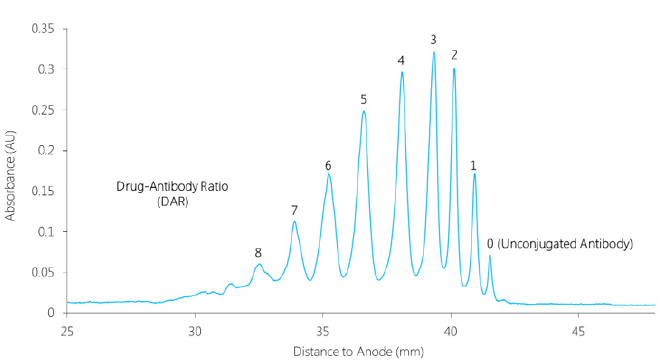 ADC icIEF with unparallel resolutions using AESlytes RH and UH CAs