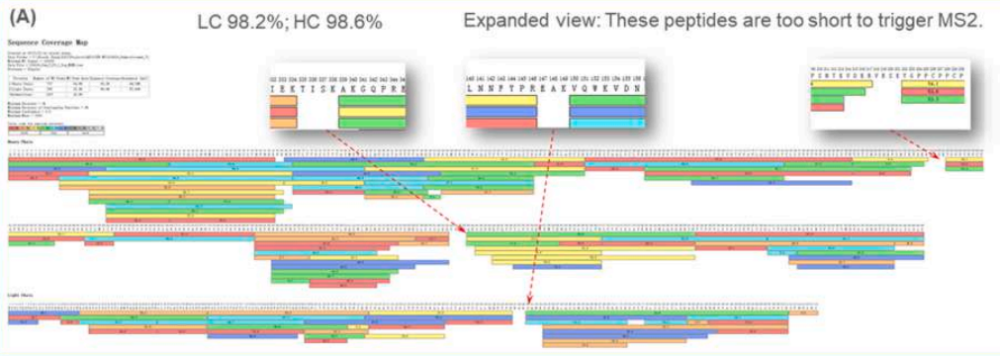 peptide mapping