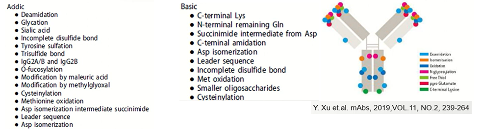 •	Identification of PTMs (post-translational modifications), DAR, (im)purities and/or mass confirmations