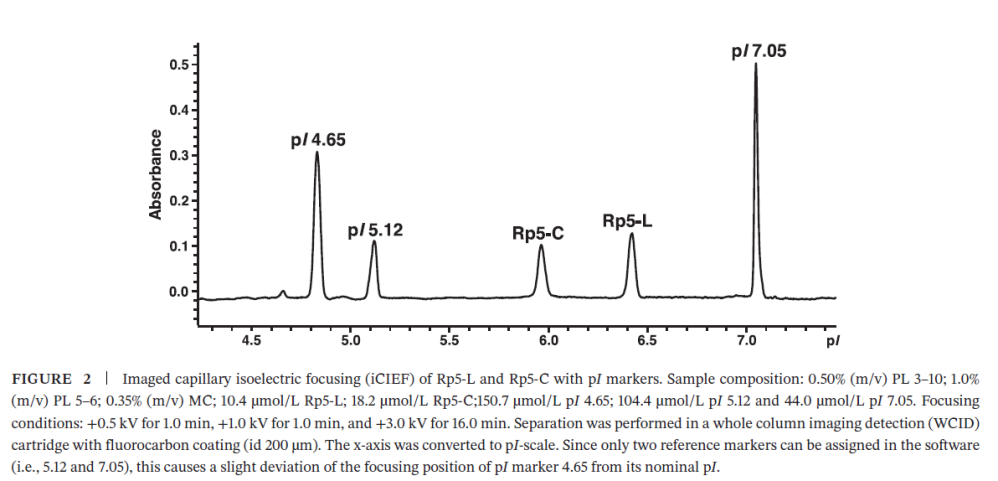 An icIEF Separation of the Linear and Cyclic Variants of a Mimotope of the Cancer-Related CD20 Antigen–Validation and Statistical Evaluation