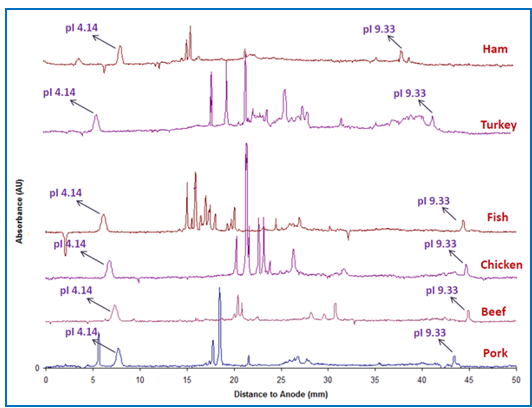 Protein Profiling in Meat and Related Products