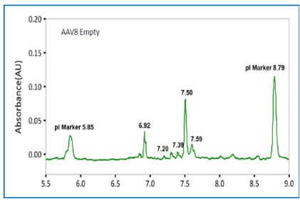 aav8 empty