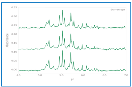 fusion proteins