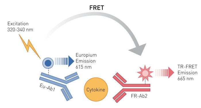 Cytokines quantification