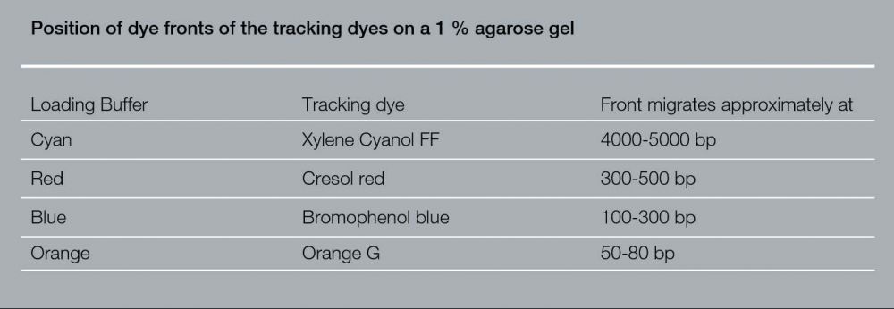 Position of dye fronts
