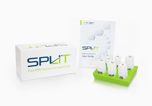 SPLIT RNA Extraction Kit