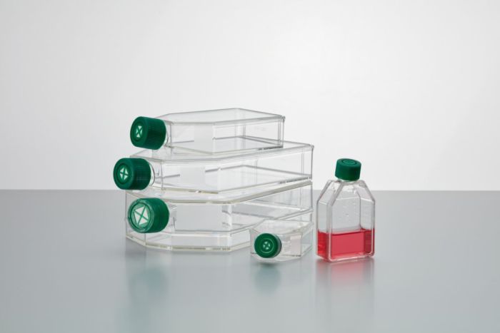 cell culture flasks