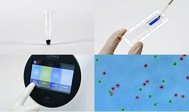 biosystems automated cellcounter convenient workflow